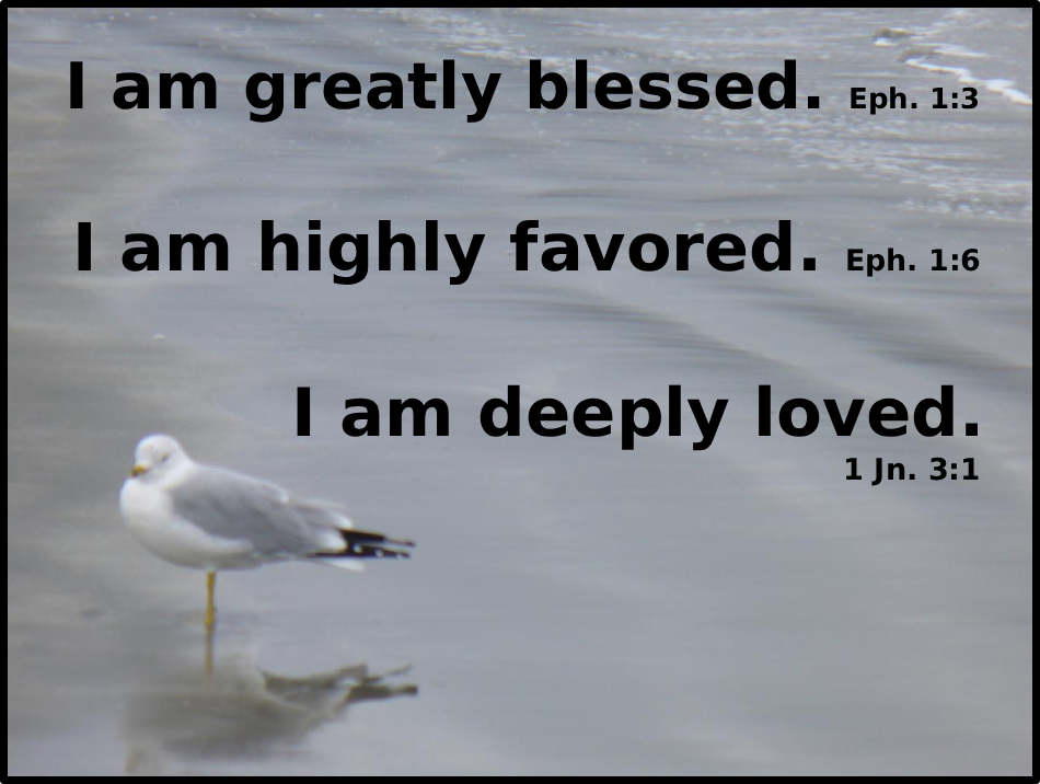 Seagull with inspirational text overlay.